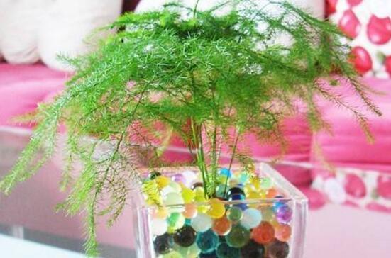遇上碎片化生活作文
