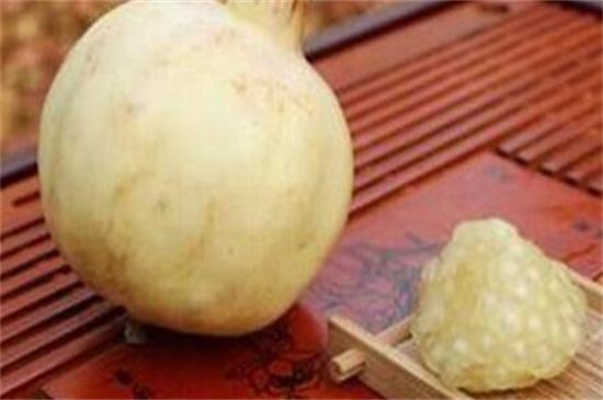 和爸爸一起走过的日子作文