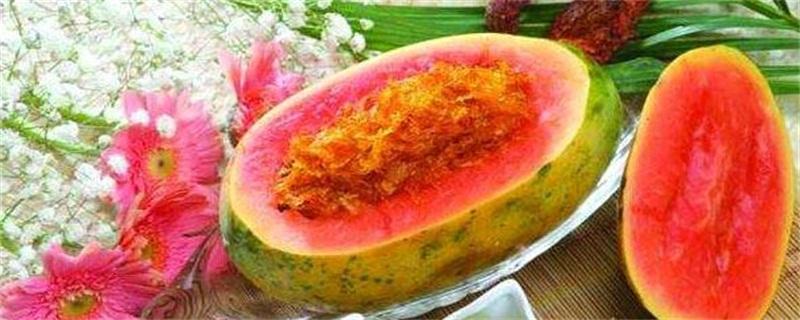 作文上学记(集合19篇) 聪明的小猴作文