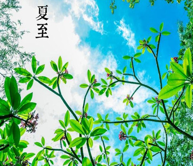 好帮手作文