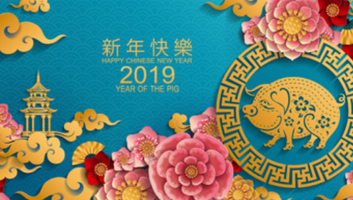 并不平凡半初中作文