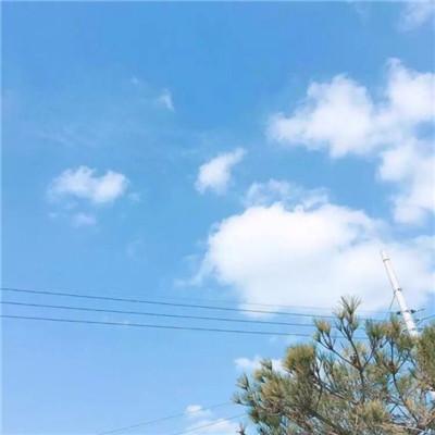 花好月圆作文(<a href=/phymu/12117.html target=_blank class=infotextkey>精选</a>20篇) 花好月圆为主题<a href=/phymu/58192.html target=_blank class=infotextkey>的作文</a>