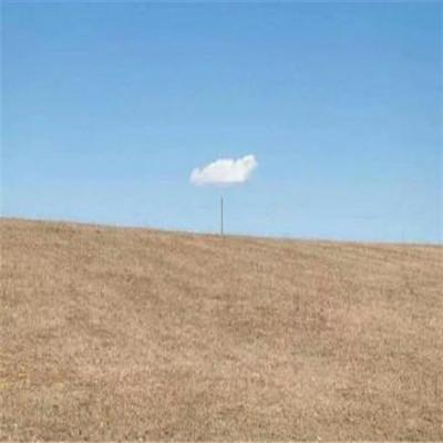 2022最好听的前十个女英文名字