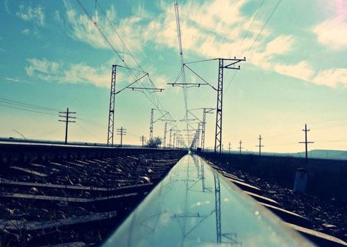 冷酷的网名--柚子与猫