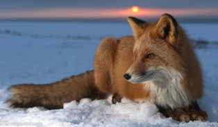 幽默可爱的网名 今夕何夕