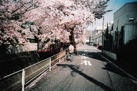 个性游戏名字大全2023