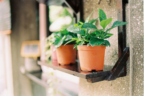 微信网名可爱励志