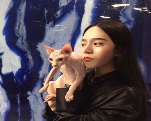 比较有诗意的剑网三名字--卧听桃花雨