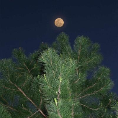 比较有深意的男生网名分享