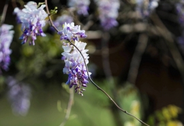 2021最新qq个性网名带符号大全