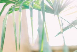 成熟女人的微信网名--圆点原点