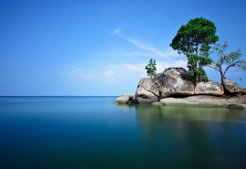 对抗路压迫感十足的id