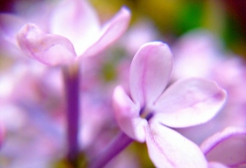 男生单身qq网名--依旧你祖宗