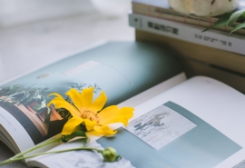 女生伤感唯美网名推荐、四号花店