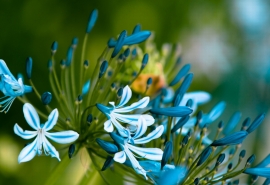 取网名大全 过去那段伤