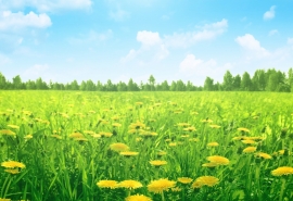 2017微信网名女繁体字_゛尛别扭つ