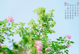 怀旧经典游戏名字 完美风暴灬