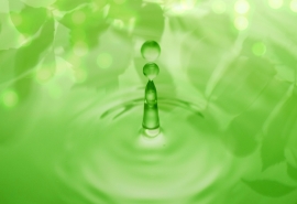 有心亦无心网名