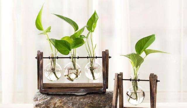 适合70后的昵称 装不来她的柔弱