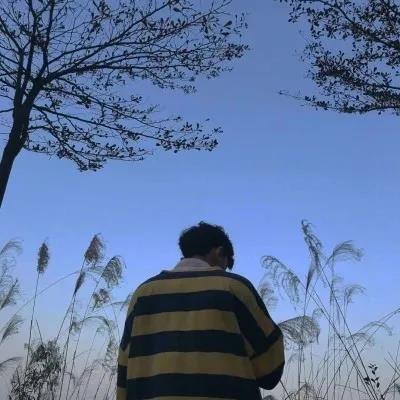 大唐无双2游戏名字大全