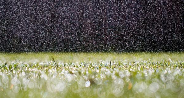 祝福儿子儿童节快乐的说说、心愿是风，快乐是帆，