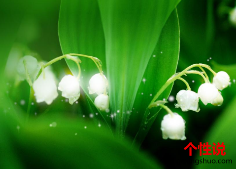 元宵节一个人在外地说说