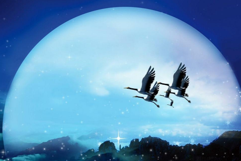 愚人节祝福网站