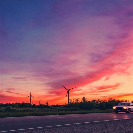 情人节单身狗骂人说说、**猫有九条命，你是