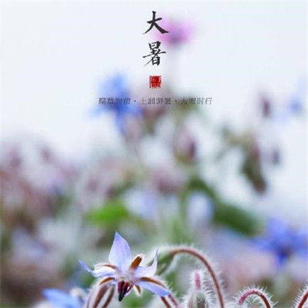 适合小年发朋友圈文案