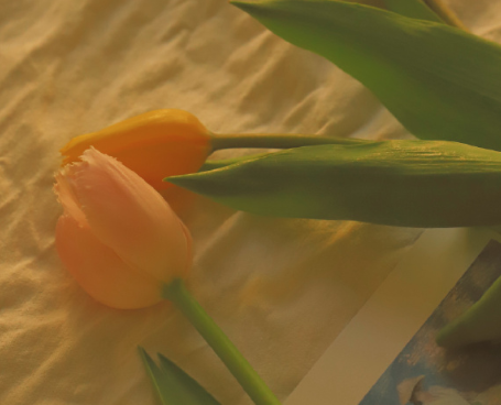 今天腊八节伤感说说--**想要披荆斩棘而来