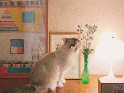 孩子的第十一个儿童节说说