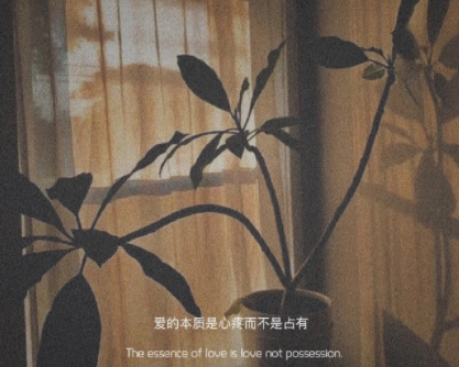 三七女生节祝福二维码 爱你，浪漫红尘，和你