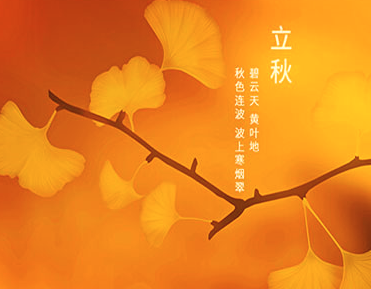 女生节祝福宿管阿姨 女人在生活中起着莫大