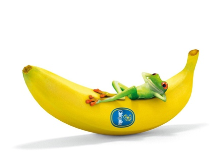 6一儿童节说说下评论 春天是你的童年;鲜花