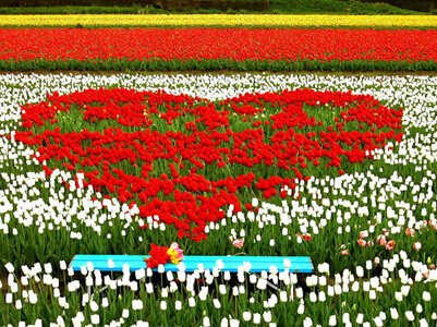 虎年春节祝福新年语说说--我让风带走你的烦恼，