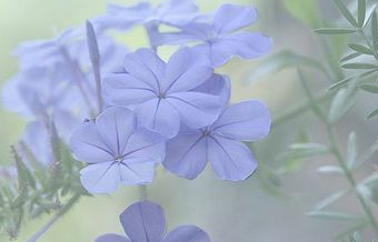 qq说说除夕祝福的话虎年_祝你新年快乐！平安幸