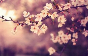 谷雨时节的祝福歌曲_谷雨时节好，雨丝到处