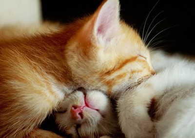 立春辞旧迎新的说说--雨水立春后，点点破春