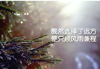 清明节学生简短说说、天上月圆，人间月半，