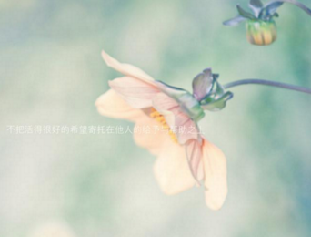 关于七夕爱情的句子--**优美8个字，是我