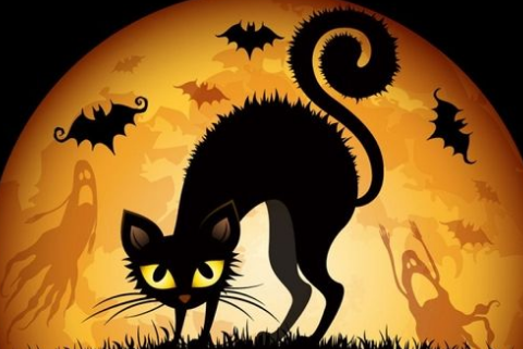 元旦祝福语理发店 **理发时光里，静享