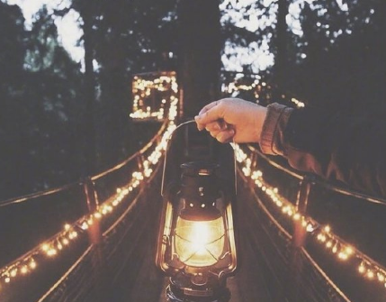 情人节表达爱意说说--情人节不就是个星期四