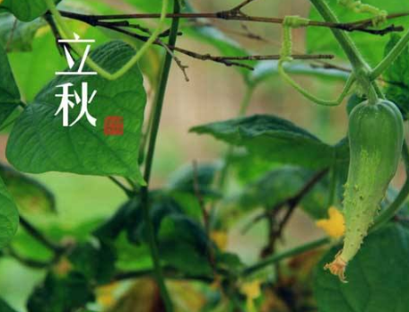 情人节脱单说说大全