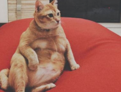 2022年春分早安朋友圈问候祝福语文案