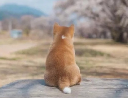 春分幼儿园祝福