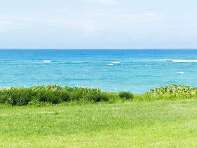 二月二 龙抬头小朋友祝福语--**回头一看，龙已遍