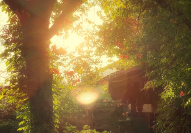 愚人节说说评论恶搞