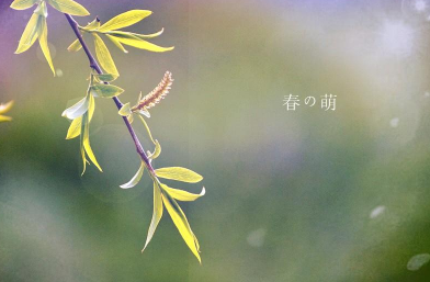 晚上比较伤感的一段说说、只见新人笑不见旧人哭