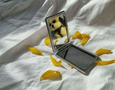 情人节当天分手的说说 ·请不要叫我单身狗我