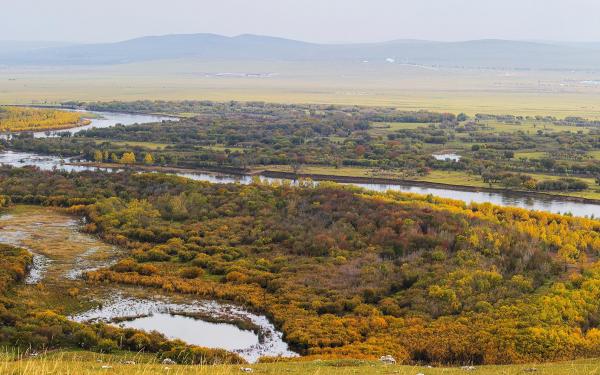 有关愚人节的QQ说说、祝你“愚”来“愚”快